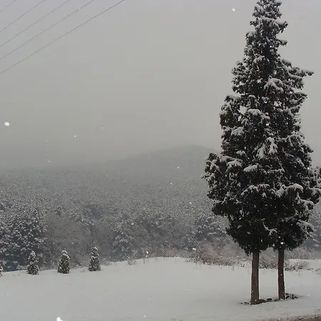 Time Out-sandanski 3*