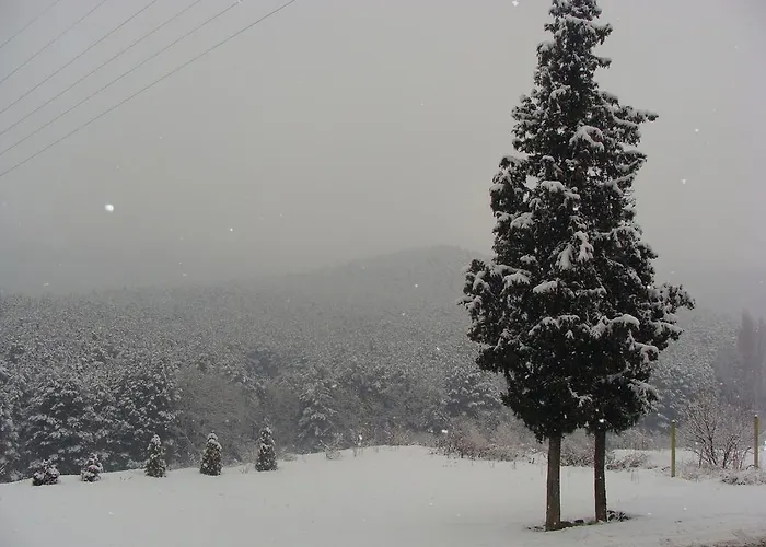 Time Out-sandanski 3*